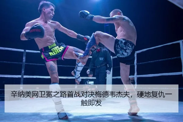 辛纳美网卫冕之路首战对决梅德韦杰夫，硬地复仇一触即发
